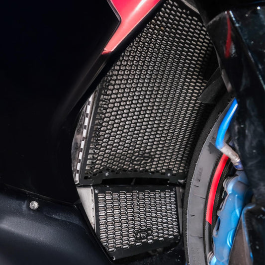 Griglia radiatore nera BMW M 1000 RR GP Kompozit